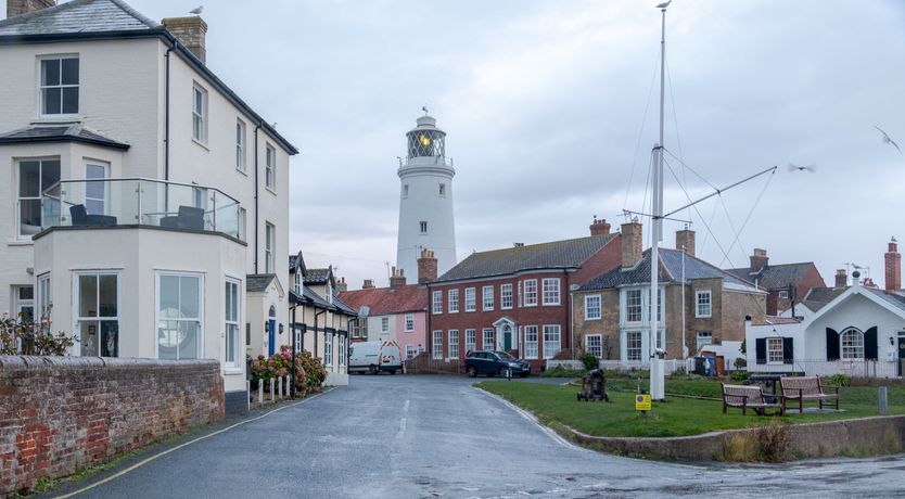 Photo of Pale Blue Gull