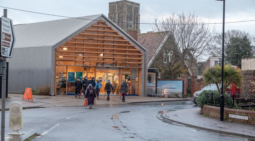 Photo of Pale Blue Gull