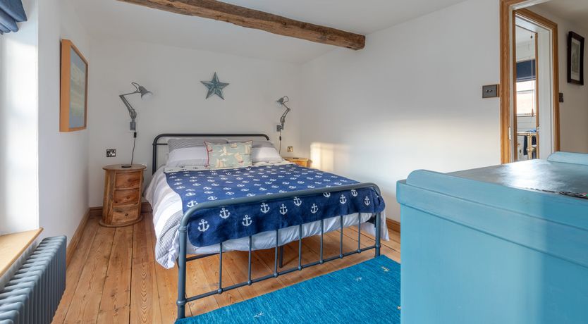 Photo of Pale Blue Gull