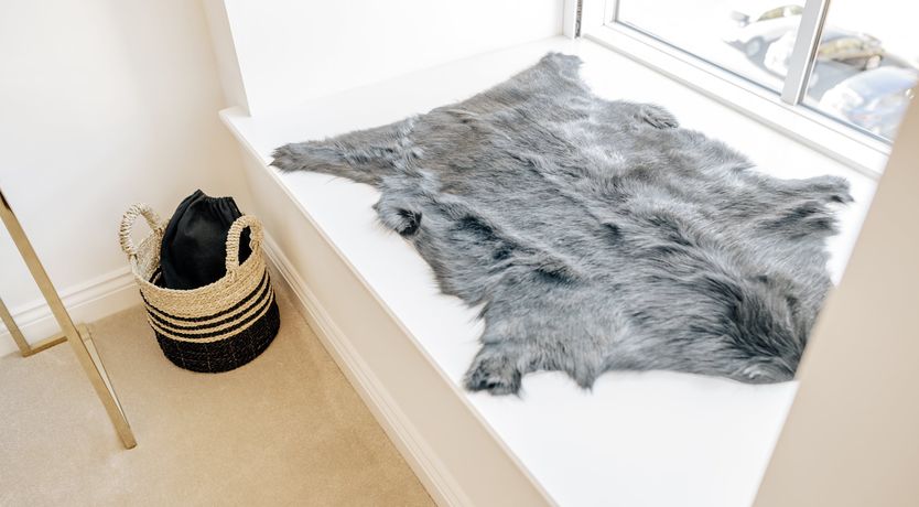 Photo of The Woven Word