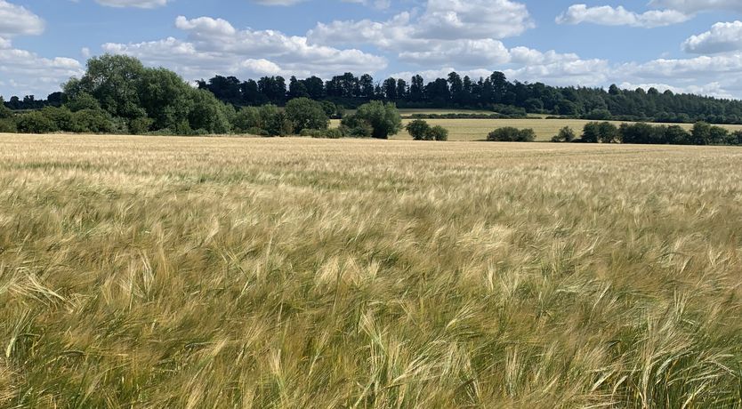 Photo of Sevastopol Sketches