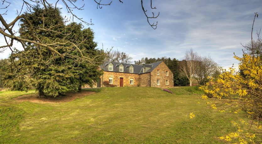 Photo of Flock Of Sheep