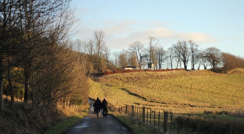 Photo of Flock Of Sheep