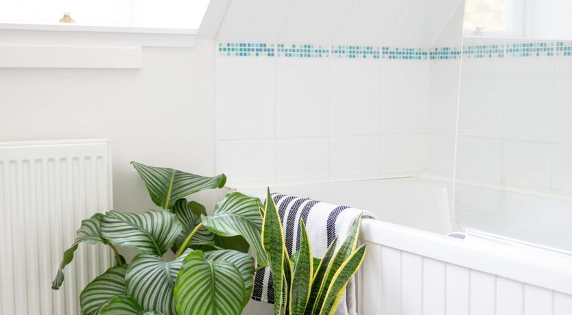 Photo of Flock Of Sheep