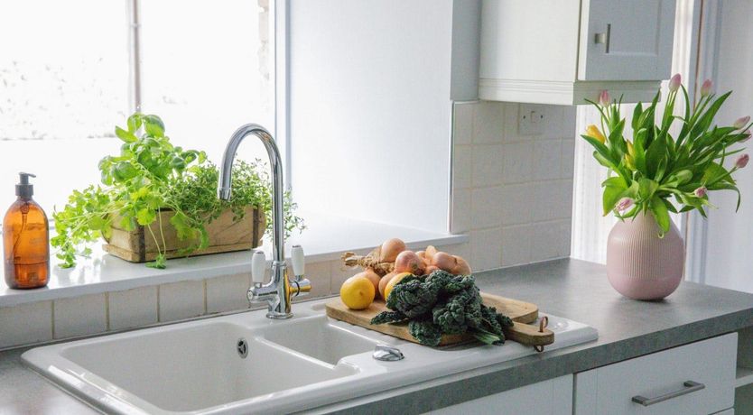 Photo of Flock Of Sheep