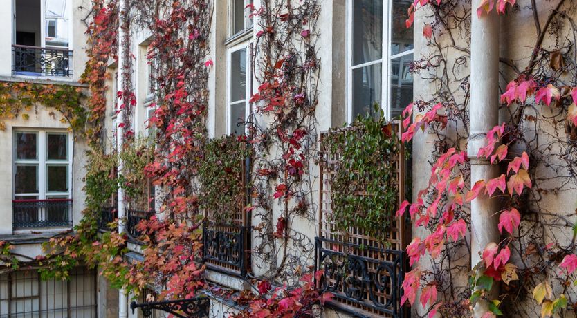 Photo of Inspector Gadget