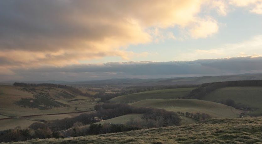Photo of Shepherd's Watch