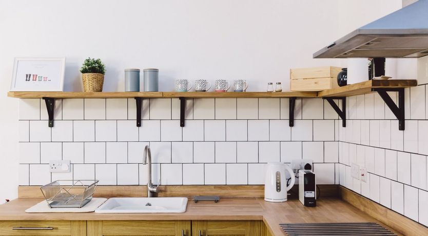 Photo of Puffin's Beak