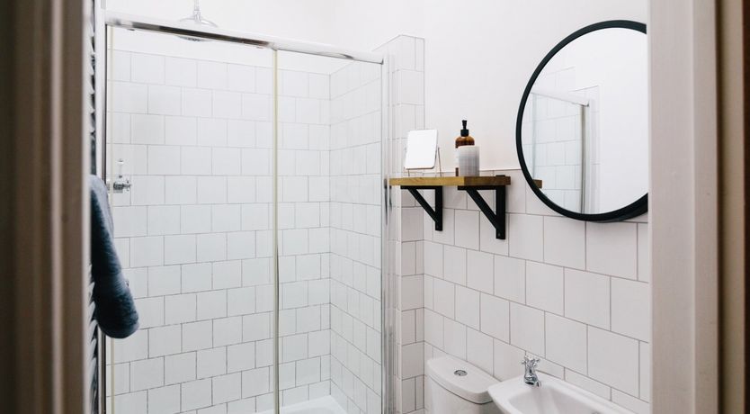 Photo of Puffin's Beak