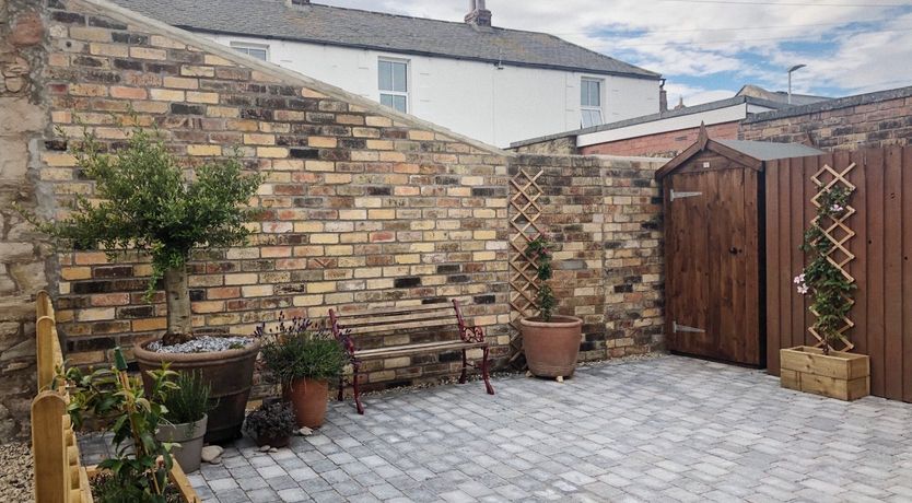 Photo of Puffin's Beak