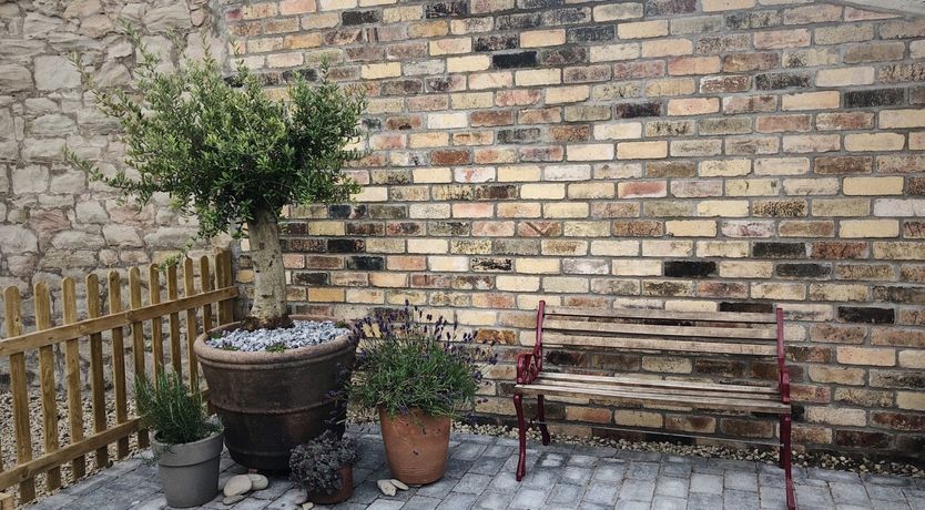 Photo of Puffin's Beak