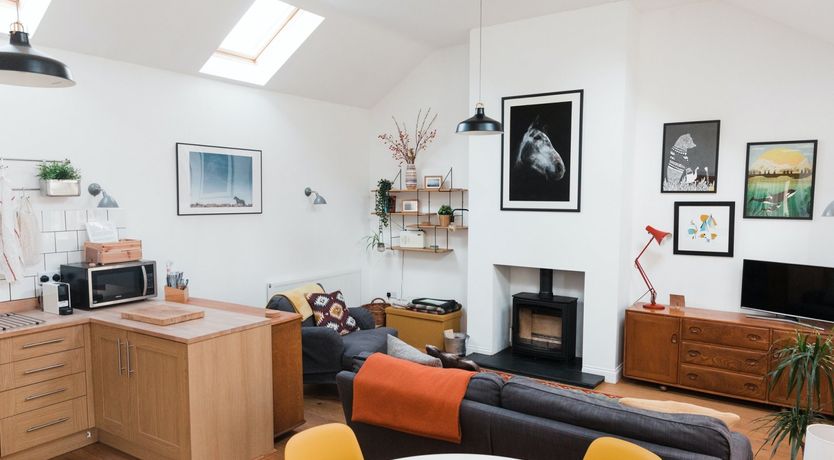 Photo of Puffin's Beak