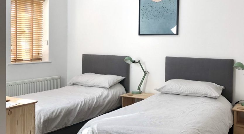 Photo of Puffin's Beak