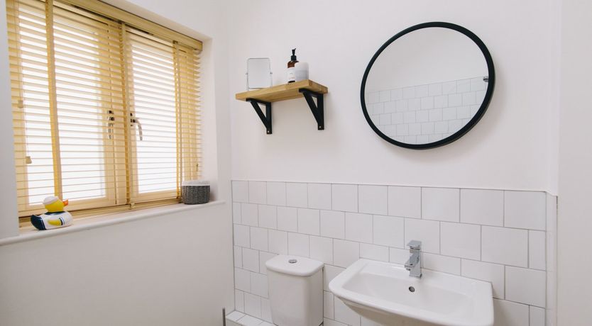 Photo of Puffin's Beak