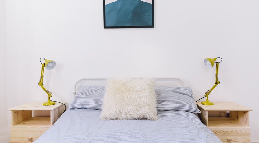 Photo of Puffin's Beak