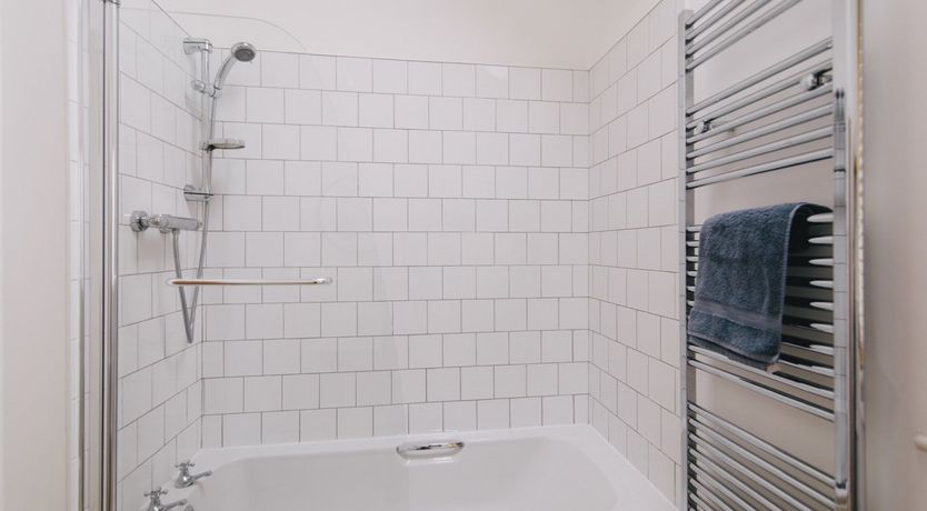 Photo of Puffin's Beak