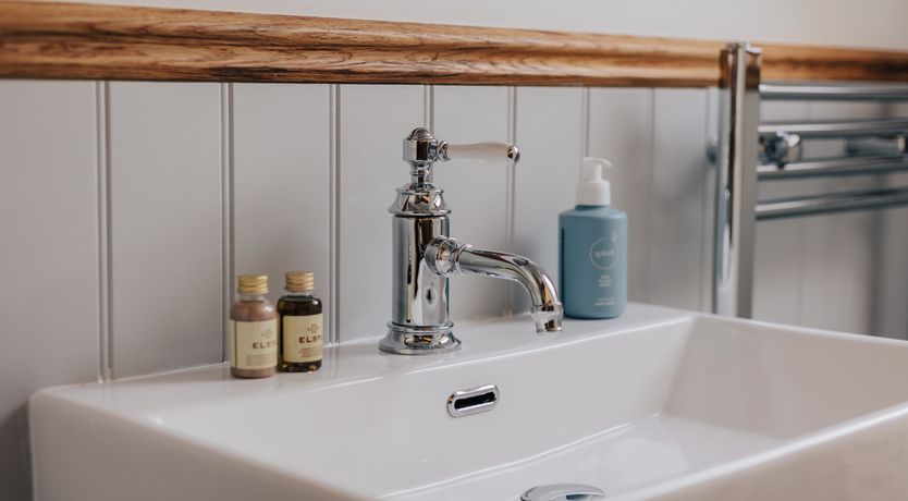 Photo of The Equestrian