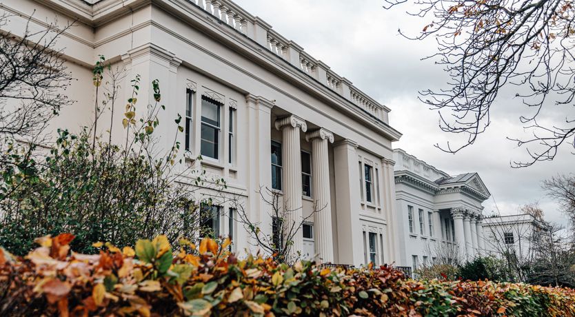 Photo of The Fascinator