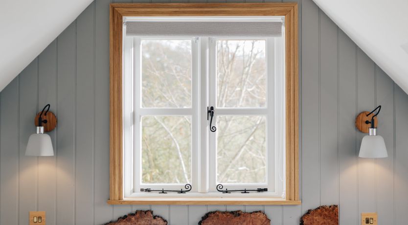 Photo of The Thoroughbred