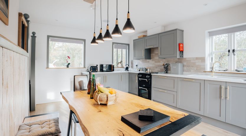 Photo of The Thoroughbred