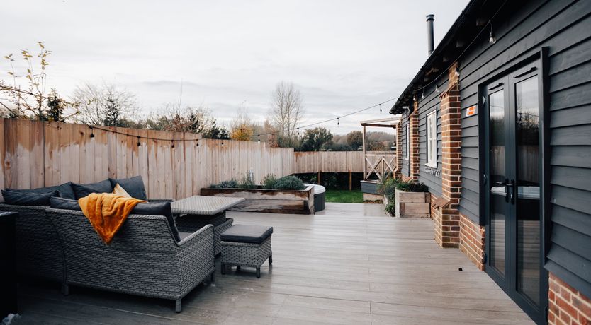 Photo of The Thoroughbred