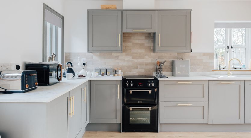 Photo of The Thoroughbred