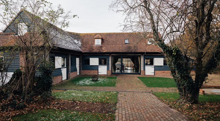 Photo of The Thoroughbred