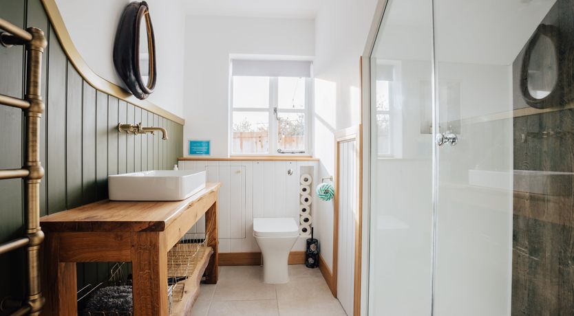 Photo of The Thoroughbred