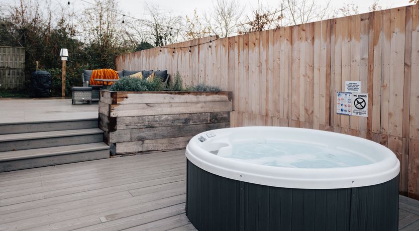 Photo of The Thoroughbred