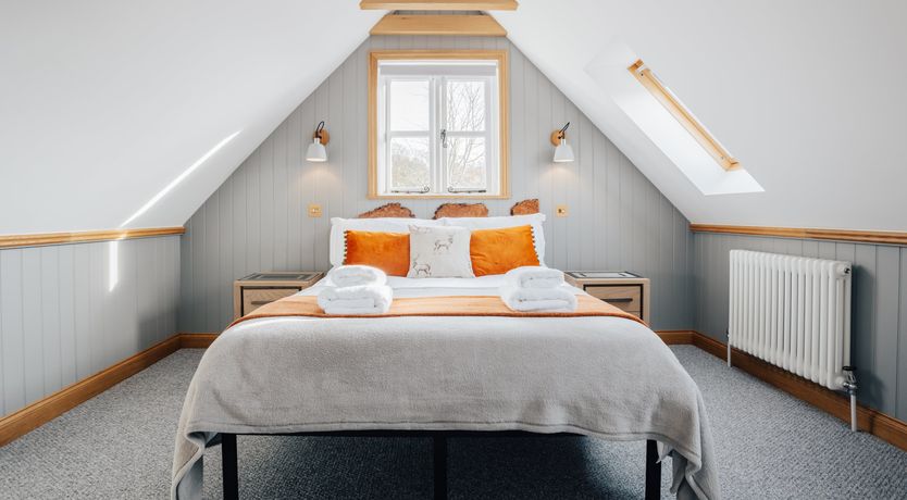 Photo of The Thoroughbred