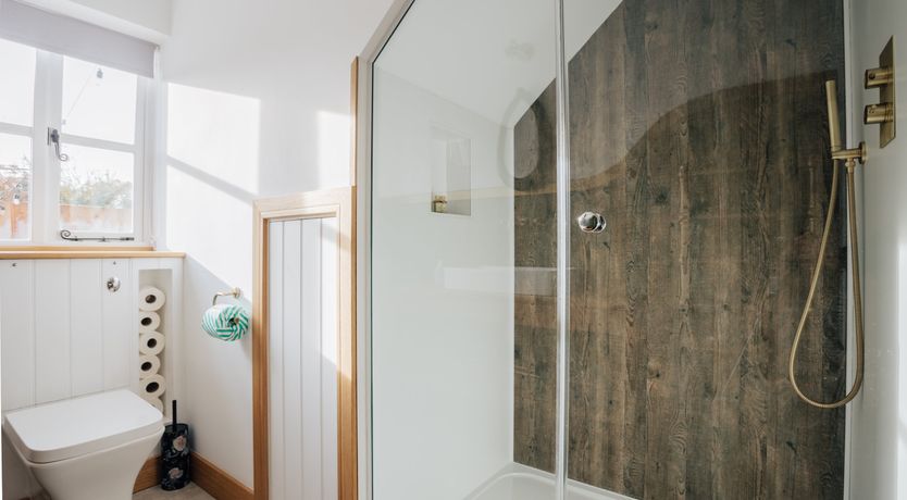 Photo of The Thoroughbred