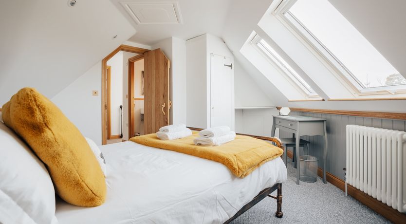 Photo of The Thoroughbred