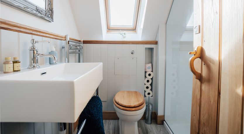 Photo of The Thoroughbred