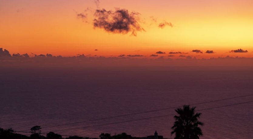 Photo of Halfway To Paradise