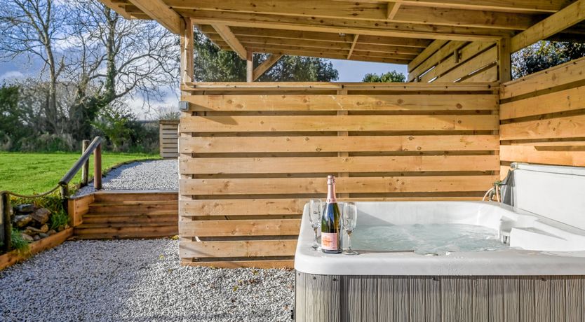 Photo of Champagne Bubbles