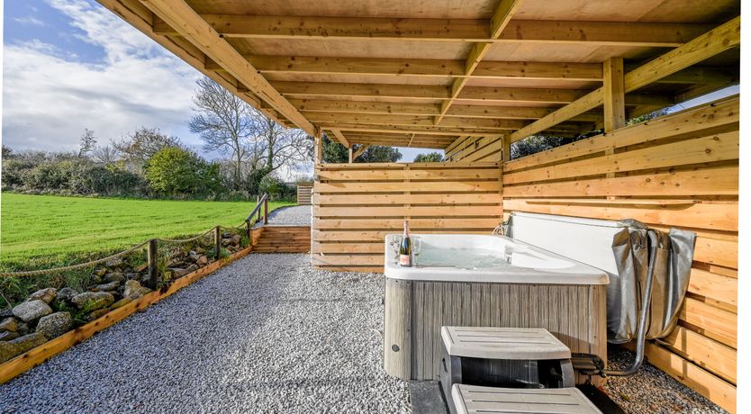 Photo of Champagne Bubbles