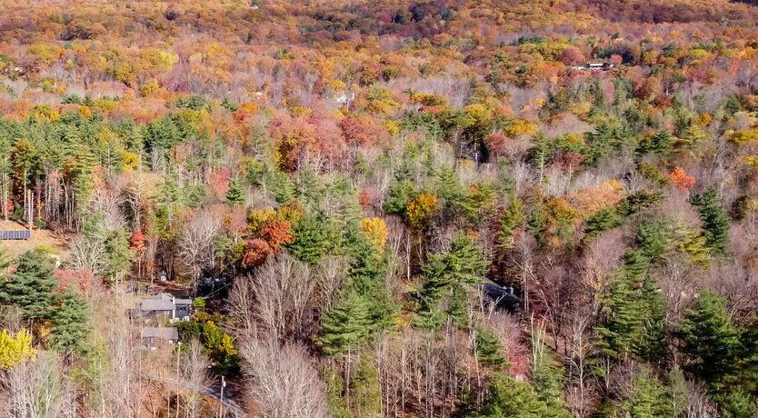 Photo of Woodpecker's Stop