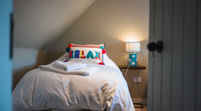 Photo of Fallow Deer