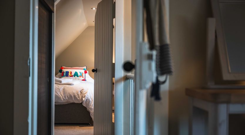 Photo of Fallow Deer