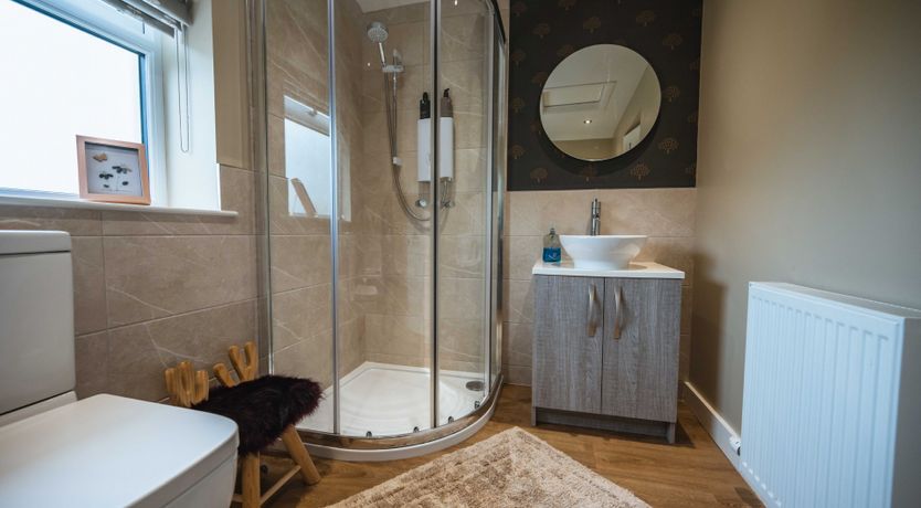 Photo of Fallow Deer