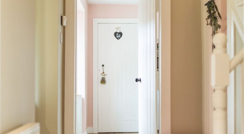 Photo of Fallow Deer