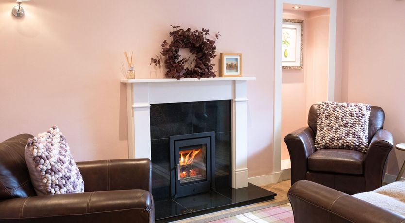 Photo of Fallow Deer