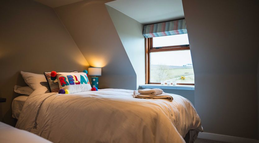 Photo of Fallow Deer