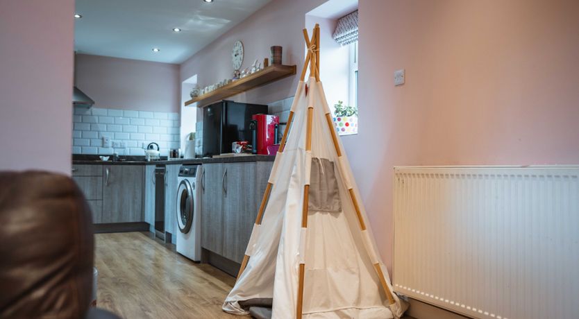 Photo of Fallow Deer