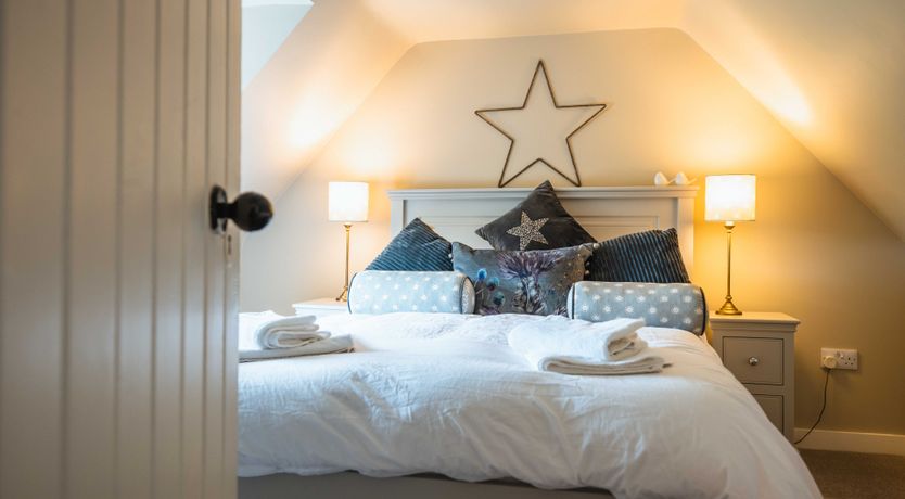 Photo of Fallow Deer