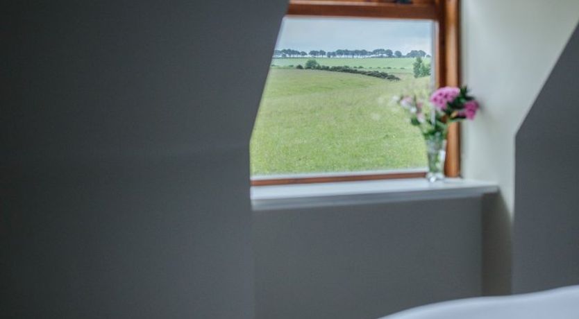 Photo of Fallow Deer