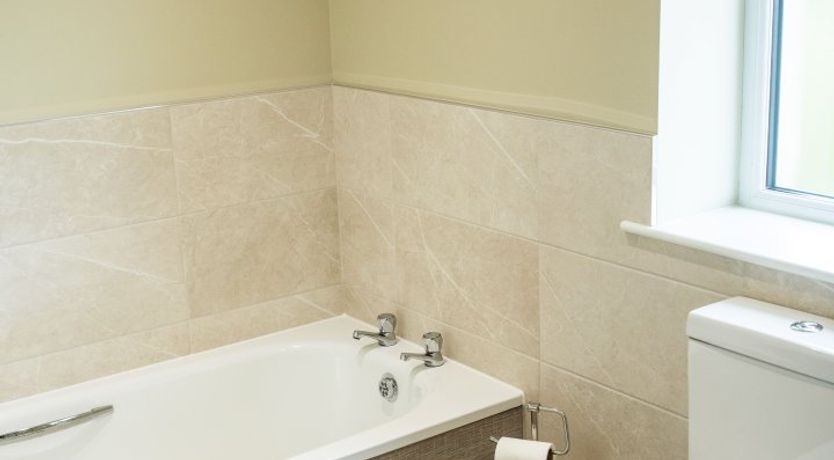 Photo of Fallow Deer