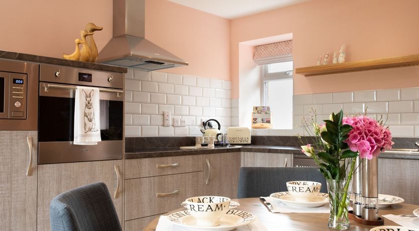 Photo of Fallow Deer