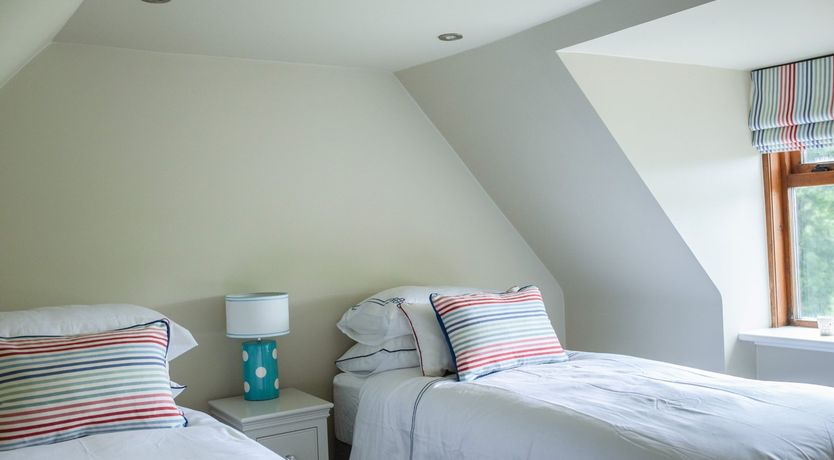 Photo of Fallow Deer