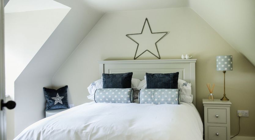 Photo of Fallow Deer